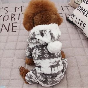 Pet onesie!